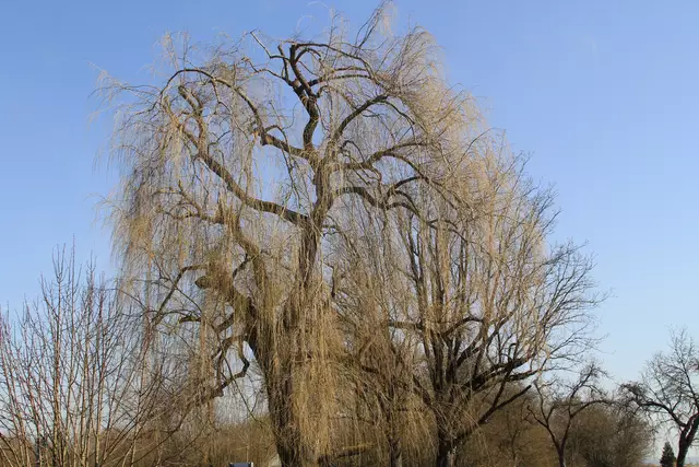 Starkholzbacher See | Foto: Ralf Röser