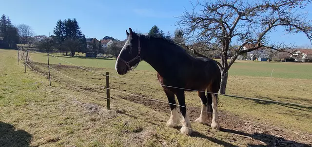 Idylle bei Aufhausen | Foto: privat Sibylle Tröber