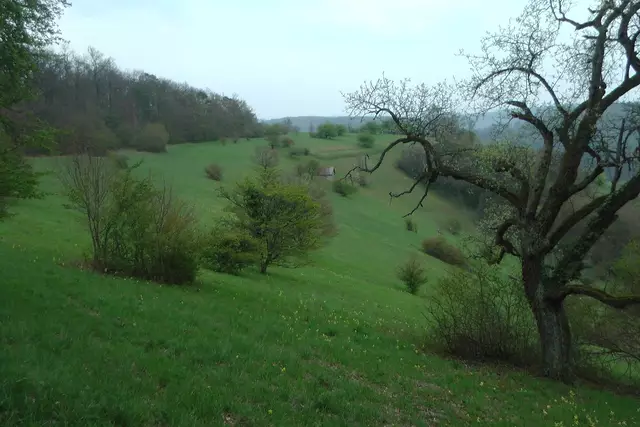 Der Einstieg zum Naturschutzgebiet liegt hinten am Waldrand. Von dort muss man den Wiesenpfaden folgen. | Foto: Martin Feucht