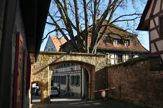 Der Torbogen von der Innenseite des Amthofs. | Foto: Daniela Somers