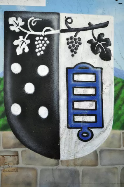 Das Stadtwappen als Graffiti | Foto: Daniela Somers