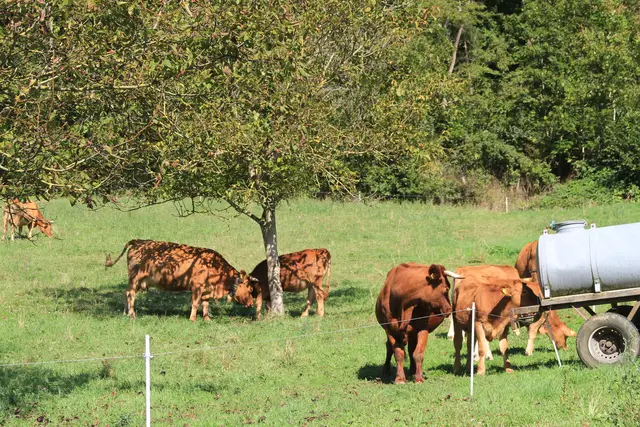 Begegnungen😍🌞 | Foto: Ralf Röser