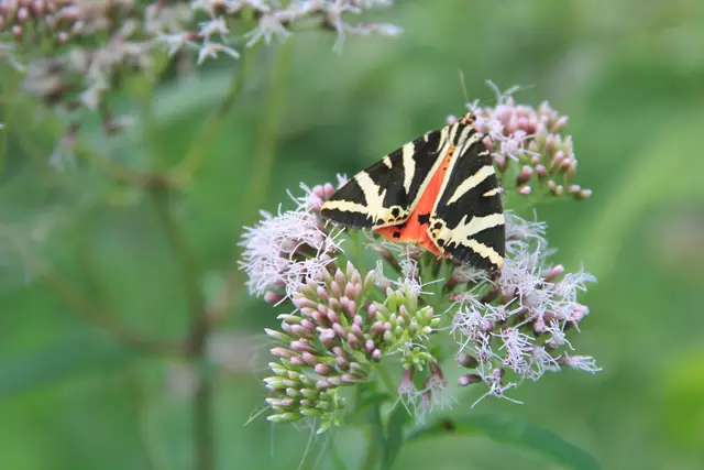 Begegnungen😍🌞 | Foto: Ralf Röser