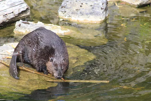 Begegnungen😍🌞 | Foto: Ralf Röser