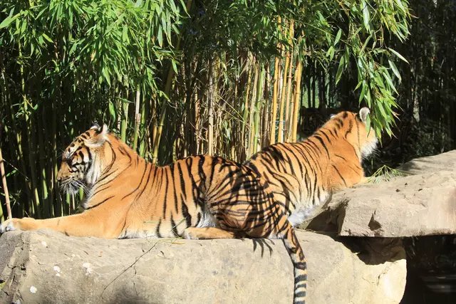 Begegnungen😍🌞 | Foto: Ralf Röser