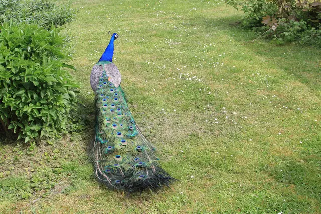 Begegnungen😍🌞 | Foto: Ralf Röser