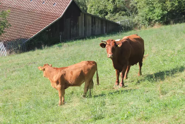 Begegnungen😍🌞 | Foto: Ralf Röser