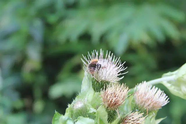 Begegnungen😍🌞 | Foto: Ralf Röser