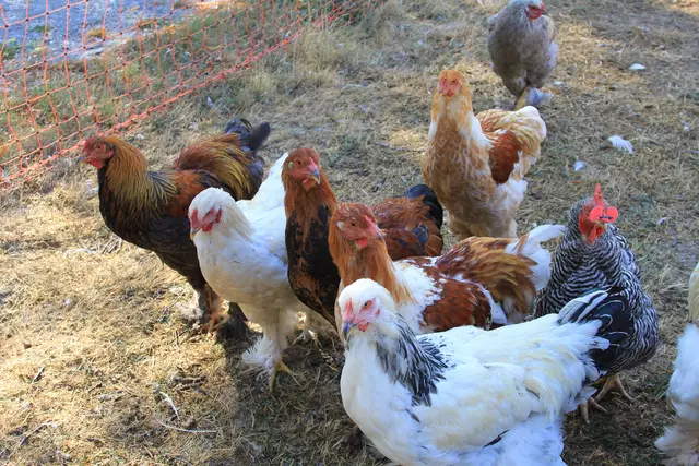 Begegnungen😍🌞 | Foto: Ralf Röser