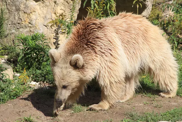 Begegnungen😍🌞 | Foto: Ralf Röser