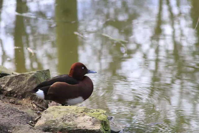 Begegnungen😍🌞 | Foto: Ralf Röser