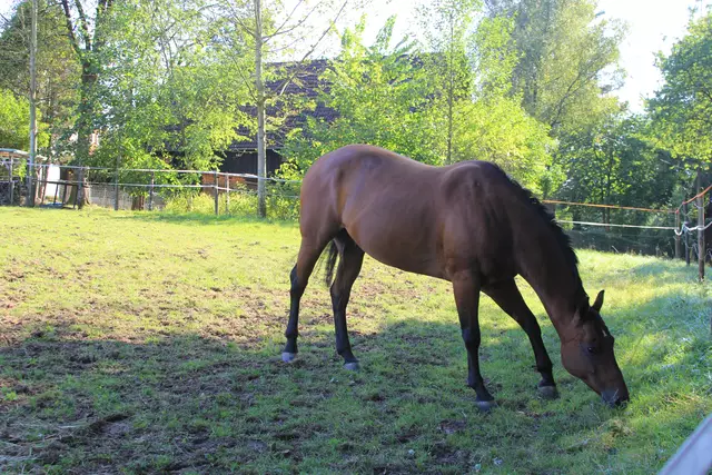 Begegnungen😍🌞 | Foto: Ralf Röser