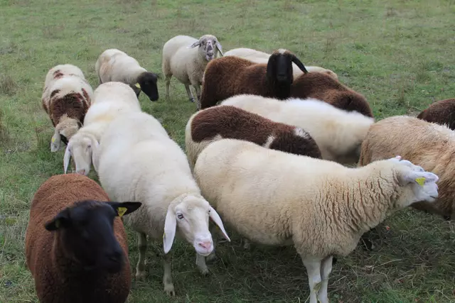 Begegnungen😍🌞 | Foto: Ralf Röser