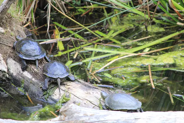 Begegnungen😍🌞 | Foto: Ralf Röser