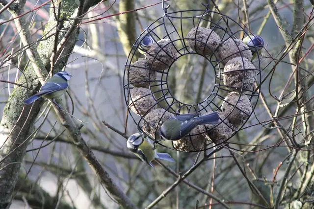 Begegnungen😍🌞 | Foto: Ralf Röser