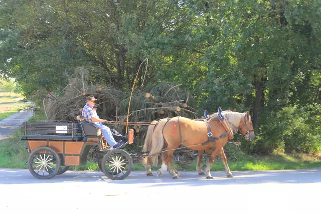 Begegnungen😍🌞 | Foto: Ralf Röser
