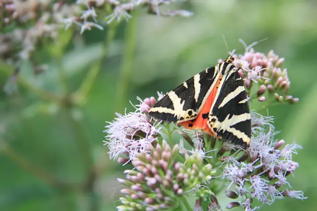 Begegnungen😍🌞 | Foto: Ralf Röser