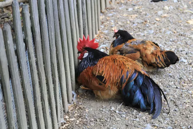 Begegnungen😍🌞 | Foto: Ralf Röser