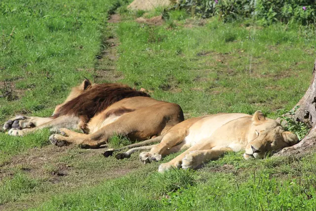 Begegnungen😍🌞 | Foto: Ralf Röser
