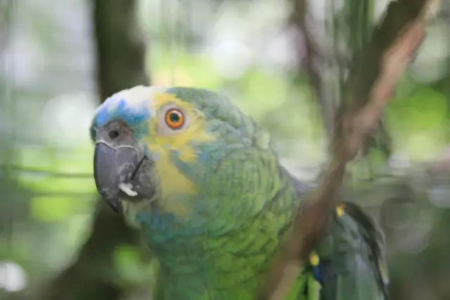 Begegnungen😍🌞 | Foto: Ralf Röser
