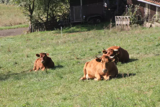 Begegnungen😍🌞 | Foto: Ralf Röser