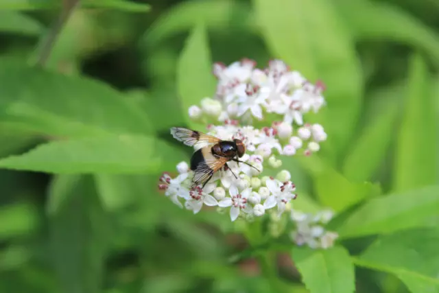 Begegnungen😍🌞 | Foto: Ralf Röser