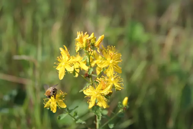 Begegnungen😍🌞 | Foto: Ralf Röser
