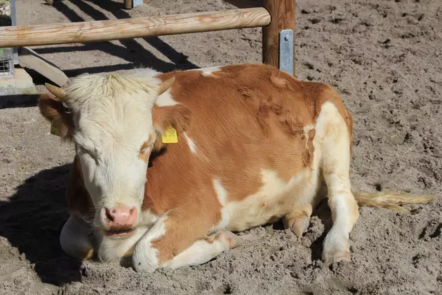 Begegnungen😍🌞 | Foto: Ralf Röser