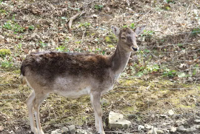 Begegnungen😍🌞 | Foto: Ralf Röser