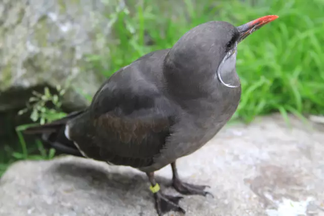 Begegnungen😍🌞 | Foto: Ralf Röser