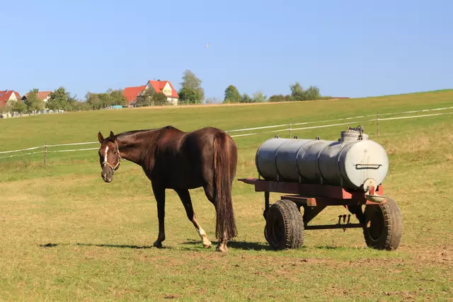 Begegnungen😍🌞 | Foto: Ralf Röser