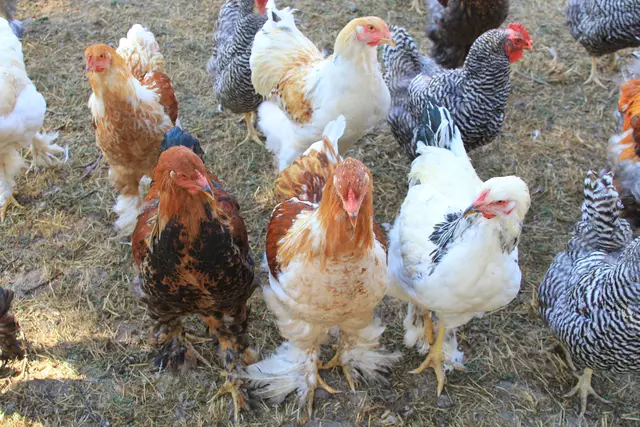 Begegnungen😍🌞 | Foto: Ralf Röser