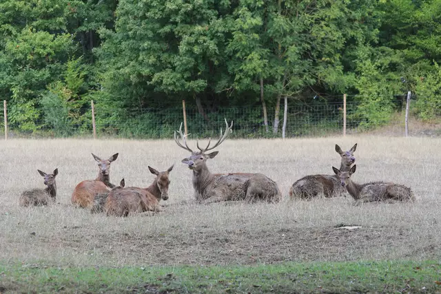 Begegnungen😍🌞 | Foto: Ralf Röser