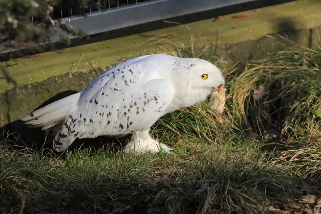 Begegnungen😍🌞 | Foto: Ralf Röser
