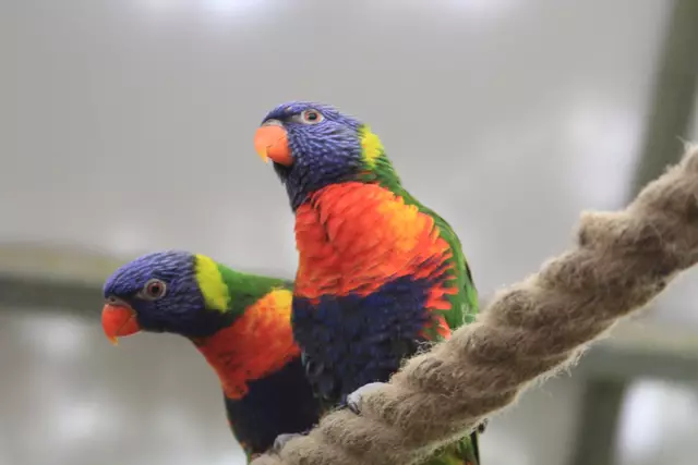 Begegnungen😍🌞 | Foto: Ralf Röser