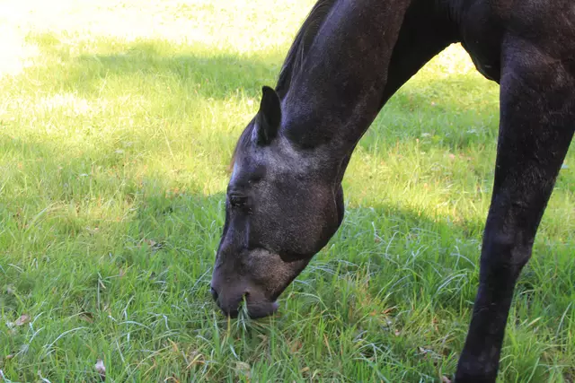 Begegnungen😍🌞 | Foto: Ralf Röser