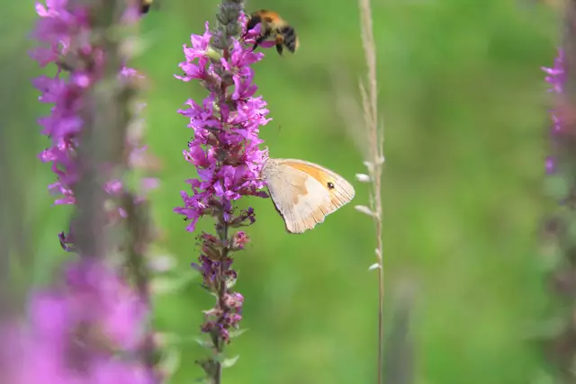 Begegnungen😍🌞 | Foto: Ralf Röser
