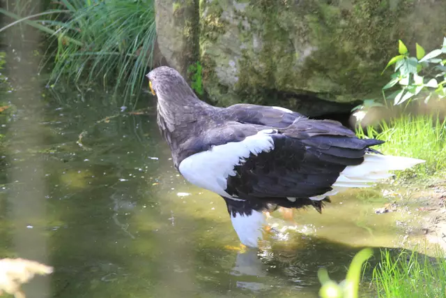 Begegnungen😍🌞 | Foto: Ralf Röser