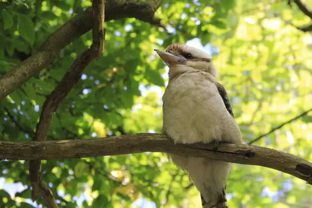 Begegnungen😍🌞 | Foto: Ralf Röser