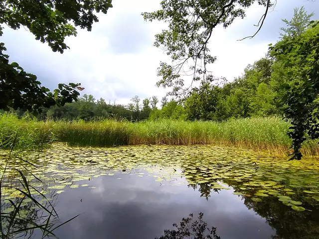 Wo befindet sich dieser idyllische See und wie heißt er? | Foto: sigischlottke