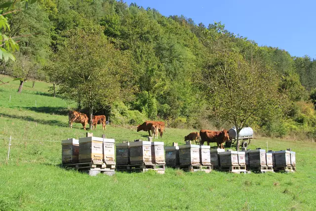 Begegnungen😍🌞 | Foto: Ralf Röser