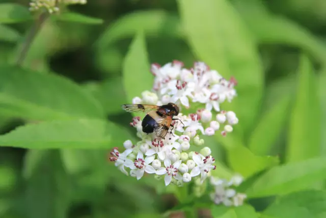 Begegnungen😍🌞 | Foto: Ralf Röser