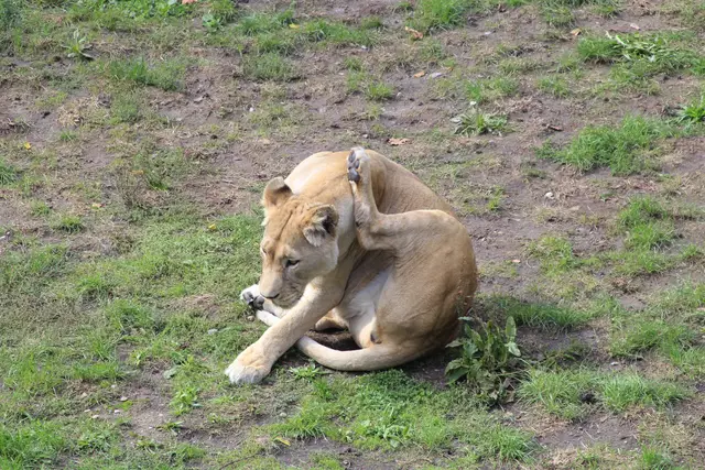 Begegnungen😍🌞 | Foto: Ralf Röser