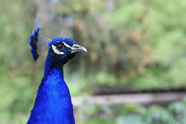 Begegnungen😍🌞 | Foto: Ralf Röser