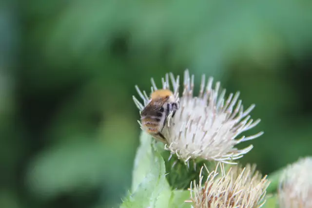 Begegnungen😍🌞 | Foto: Ralf Röser