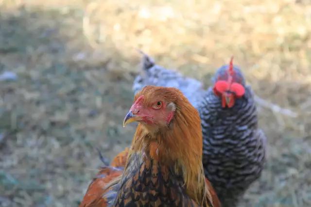 Begegnungen😍🌞 | Foto: Ralf Röser