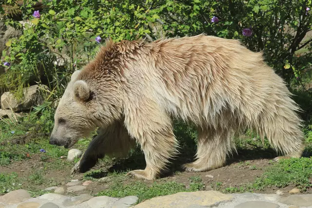 Begegnungen😍🌞 | Foto: Ralf Röser