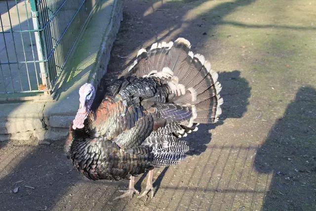 Begegnungen😍🌞 | Foto: Ralf Röser