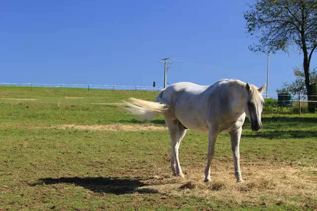 Begegnungen😍🌞 | Foto: Ralf Röser