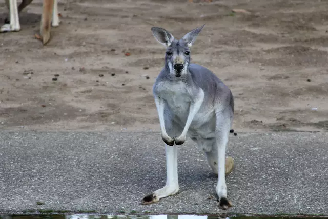Begegnungen😍🌞 | Foto: Ralf Röser